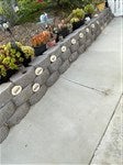 customer testimonial image