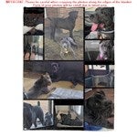 customer testimonial image