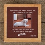 customer testimonial image