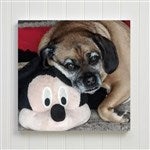 customer testimonial image