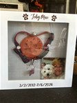 49322 - Pet Memorial Engraved Shadow Box