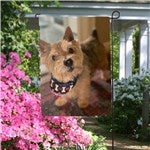 customer testimonial image