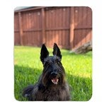 customer testimonial image