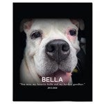 23760 - Pet Memorial Personalized Photo Blanket