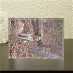 52547 - Photo Memories Personalized Colored Keepsake 