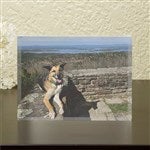 customer testimonial image