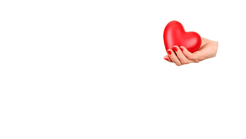 Feb Feb
